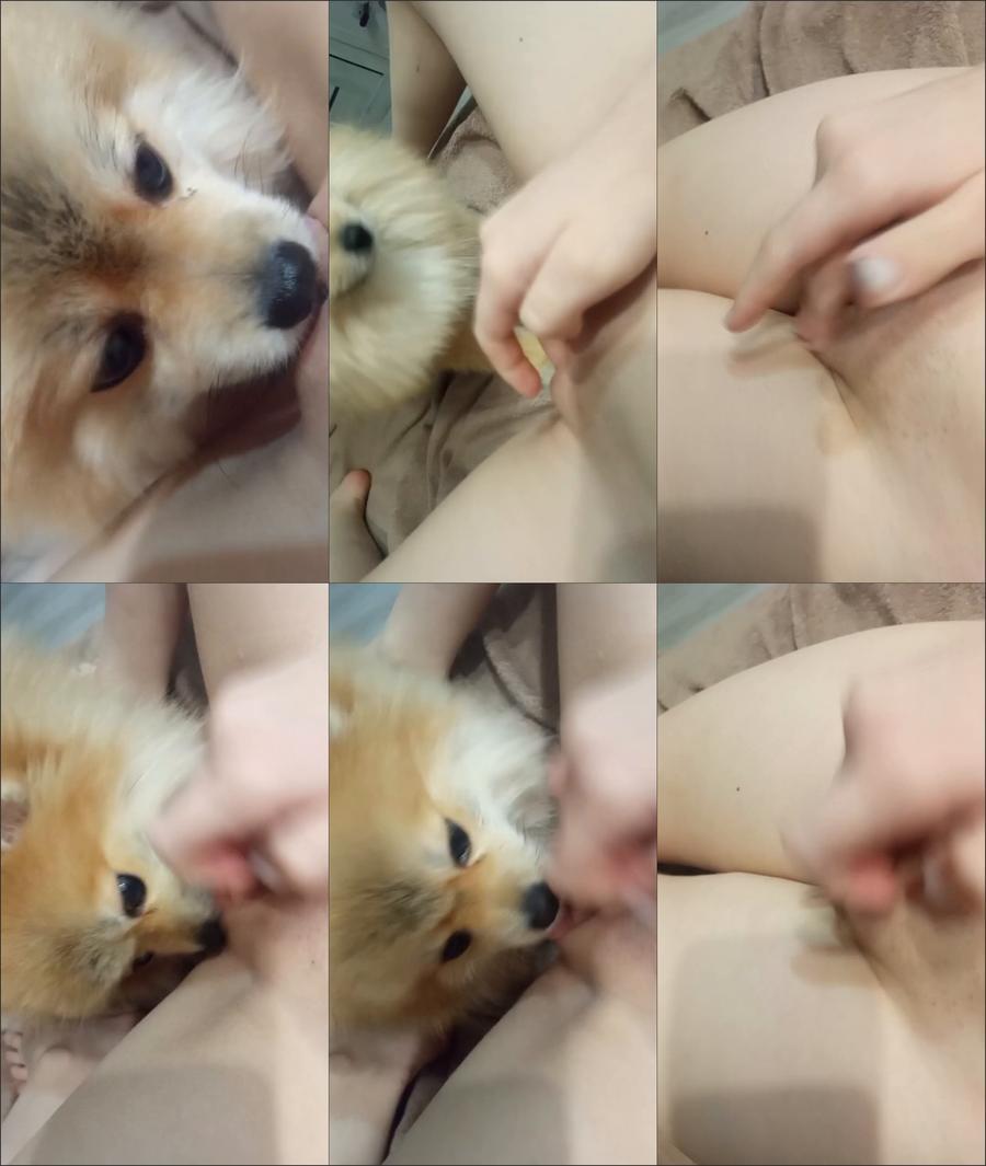 [Image: 71b295c325fb7cfe.jpeg]